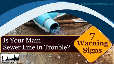 sewer leak in yard|5 Warning Signs of a Sewer Line Leak You Should Never Ignore